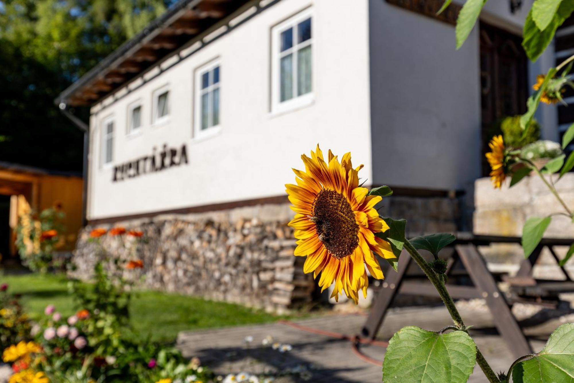 Chata Rychtarka Janov nad Nisou Extérieur photo
